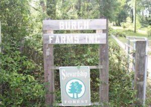 Burch Farm Sign - Suwannee County, Florida
