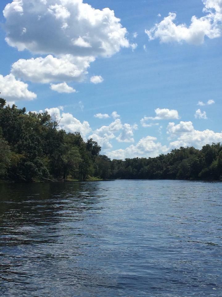 suwannee river with a bright blue sky